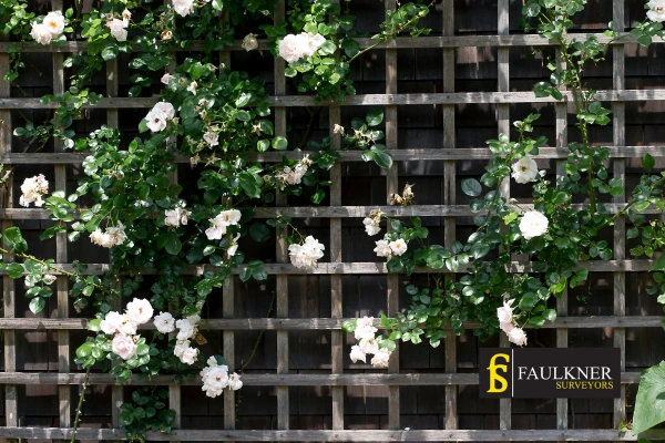 Can I put trellis on my Neighbours garage wall? 2 Do you want to adapt your neighbours garage door and add a trellis Southall? Talk to Faulkner Surveyor Southall